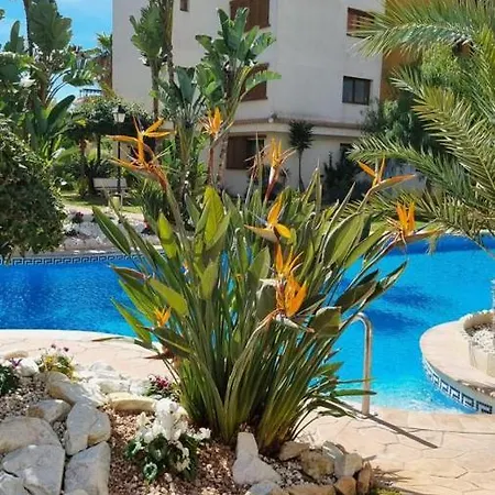 Apartamento Punta Prima Torrevieja